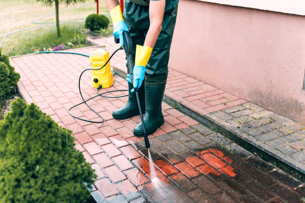 Best Brick and Stone Cleaning in Dudley, NC